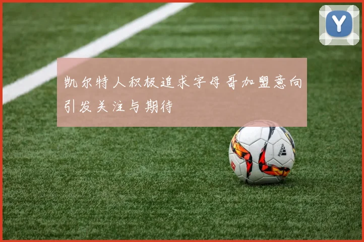 凯尔特人积极追求字母哥加盟意向引发关注与期待
