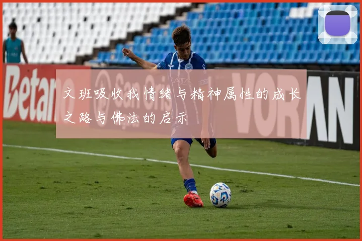 文班吸收我情绪与精神属性的成长之路与佛法的启示